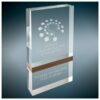 Appreciation Award | Acrylic Award with Mid Walnut Band Design
