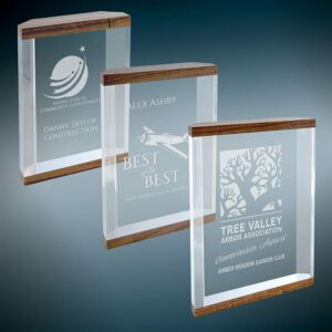 Corporate Recognition Awards | Walnut Double Banded Acrylic Award